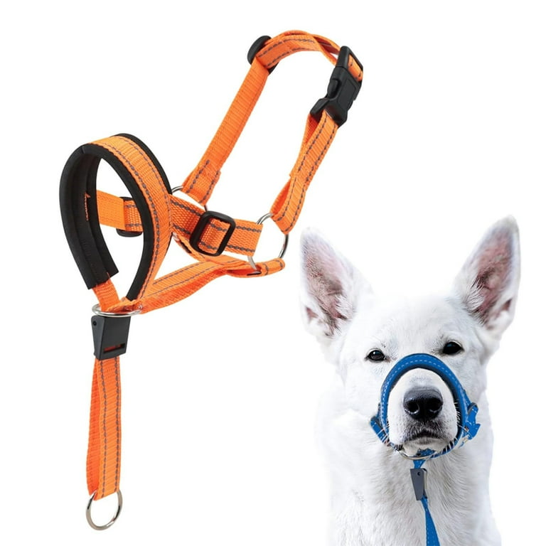 Head collar leash hot sale