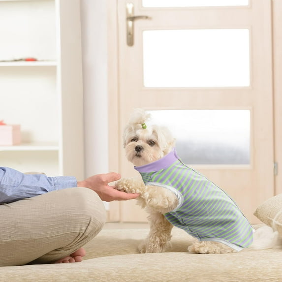 Dog Recovery Suit for Senior Dogs - Post- Protective Shirt to Licking and Scratching - Ideal for Indoor and Outdoor Use