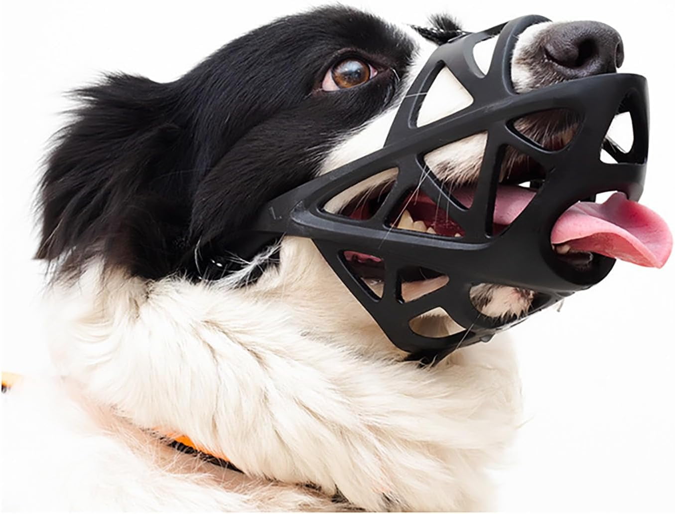Soft Elastic Dog Muzzle for Small, Medium, Large and Extra Large Dogs ...