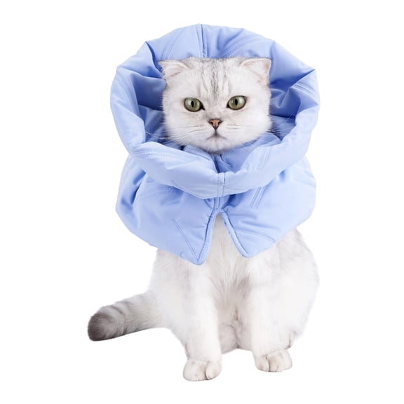 Soft Elizabethan Collar Cats Post Surgeries Recovery Comfortable Regulable To Prevent Licking Wounds