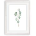thumbnail image 1 of Soft Eucalyptus Branch III - Barnwood Framed Print - 17 x 20 - White, 1 of 4