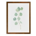 thumbnail image 1 of Wexford Home Soft Eucalyptus Branch IV-Framed Canvas - Maple - 22X30, 1 of 4