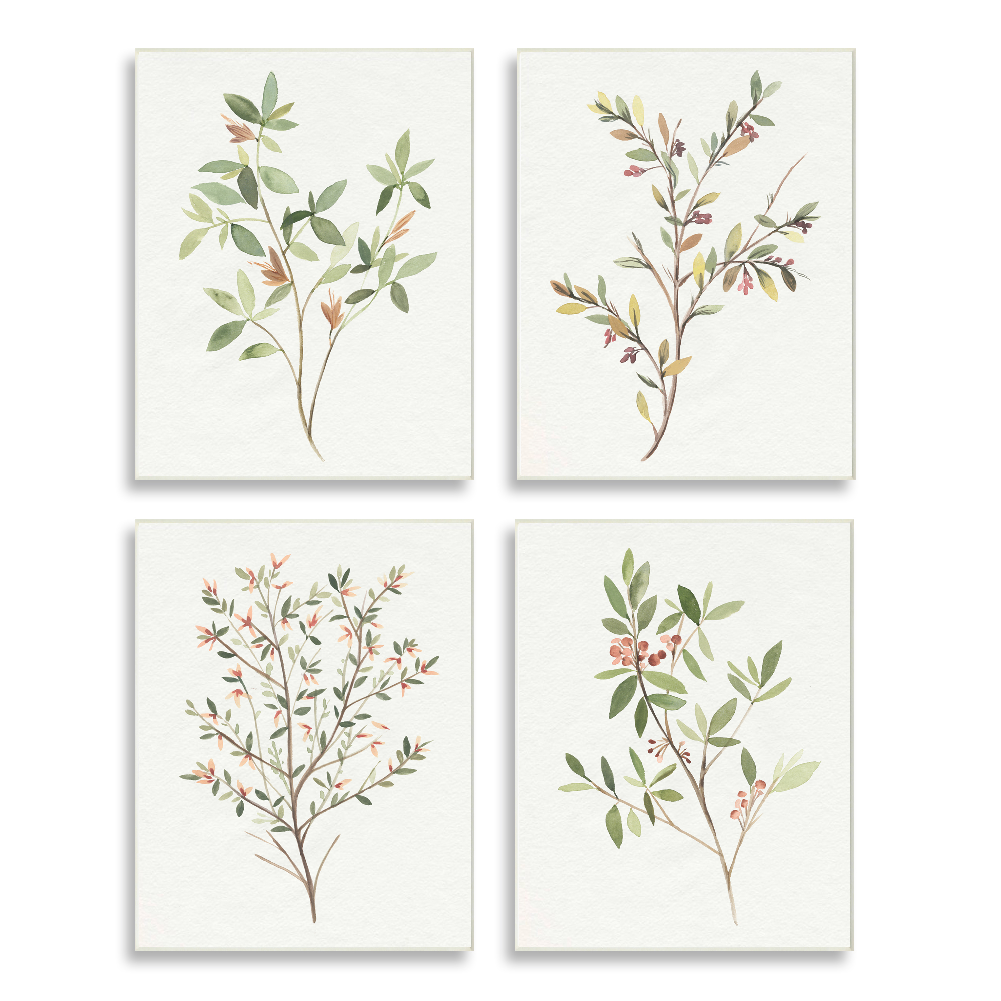 Soft Farmhouse Botanicals Charming Wild Foliage Plant Illustration 13 in x 19 in Framed Drawing Art Prints, by Stupell Home Décor Set of 4