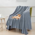 thumbnail image 1 of Soft Flannel Summertime Blanket | Cozy Fuzzy Warm Throw for Bed & Sofa | Washable Polyester | 27.5x39.3in | Lightweight Multifunctional Napping Cover | Gray, White, Blue, Green, Khaki, Red | Ideal, 1 of 7