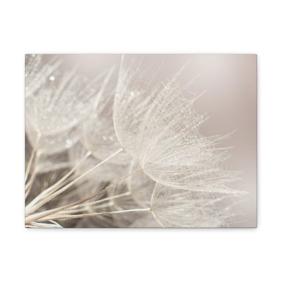 Soft Focus Dandelion At Sunset Seed Macro Closeup Canvas Wall Art for Home Decor Ready-to-Hang