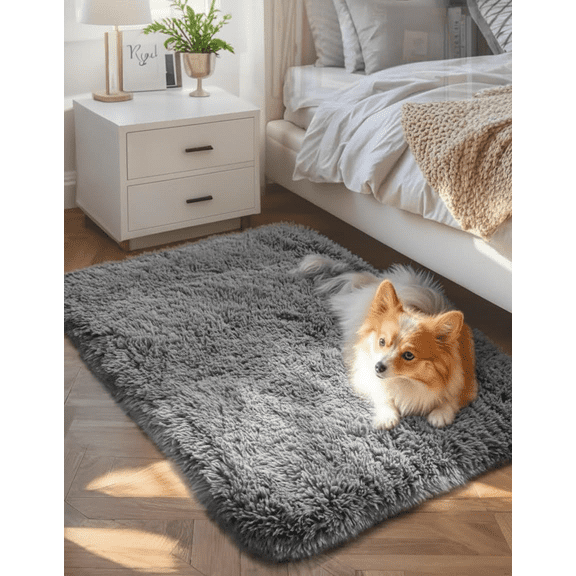 Soft Grey Fluffy Non-Slip Small Area Rug, 2x3 Feet Bedside Bedroom Carpet for Indoor Entryway, Nursery, or Front Door, Affordable and Aesthetic Home Decor Mat