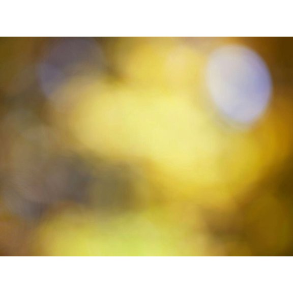 Soft Landscape IV Poster Print - James McLoughlin (24 x 18)