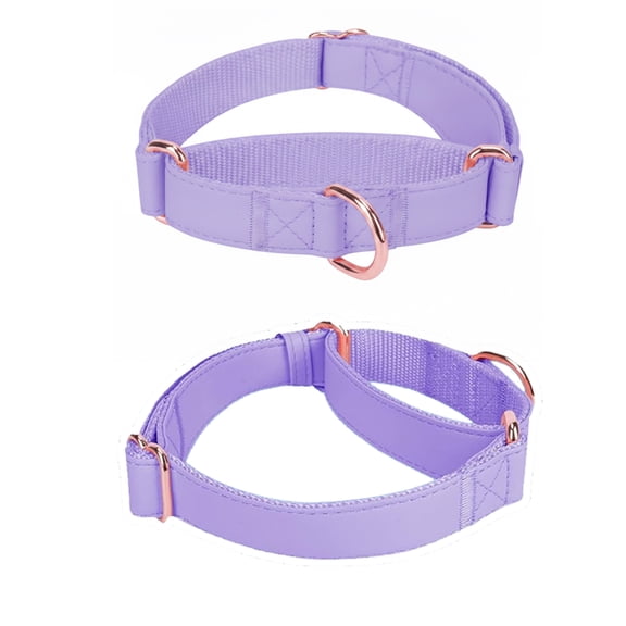Soft Leather Martingale Dog Collar, Adjustable Rose Gold Limited Slip Collars for No Pull Training, Easy to Clean Heavy Duty Nylon for Small Medium Large Dogs, Daily Walking Outdoor Running, Purple