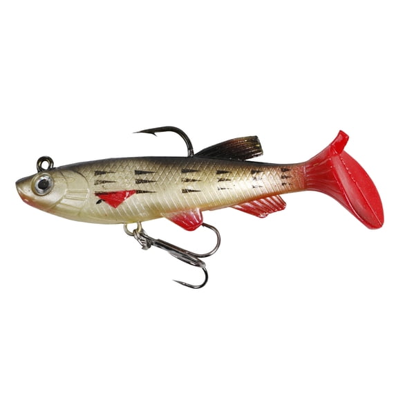 Soft Lifelike Fishing Kit Rigged Swim Tail for Trout Freshwater Saltwater Anglers
