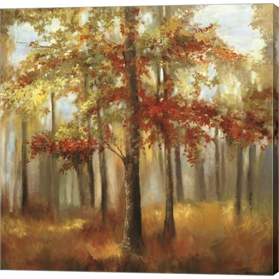 Soft Light by Allison Pearce, Canvas Wall Art