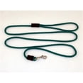 thumbnail image 1 of Soft Lines P10406EMERALDGREEN Small Dog Snap Leash 0.25 In. Diameter By 6 Ft. - Emerald Green, 1 of 1