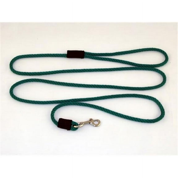 Soft Lines P10406EMERALDGREEN Small Dog Snap Leash 0.25 In. Diameter By 6 Ft. - Emerald Green