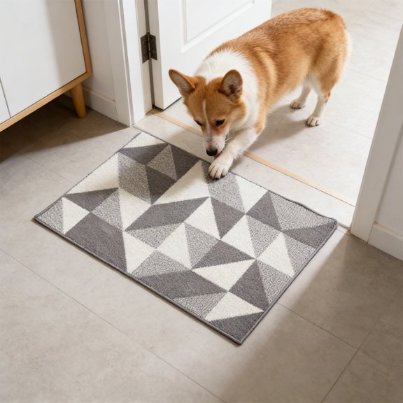 Soft Loop Non Slip Doormat, Washable Entryway Floor Mat for Home Entrance, Easter Door Mat, Pet Friendly Rug for Living Room Kitchen and Bathroom, Durable Polypropylene Floor Carpet, 31.5*19.7in, B