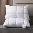 thumbnail image 1 of Soft Luxury 5-Star Hotel Quality Pillow, Deep Sleep Neck Support, 20x30 Inches, Polyester, 2 Pack, 1 of 6