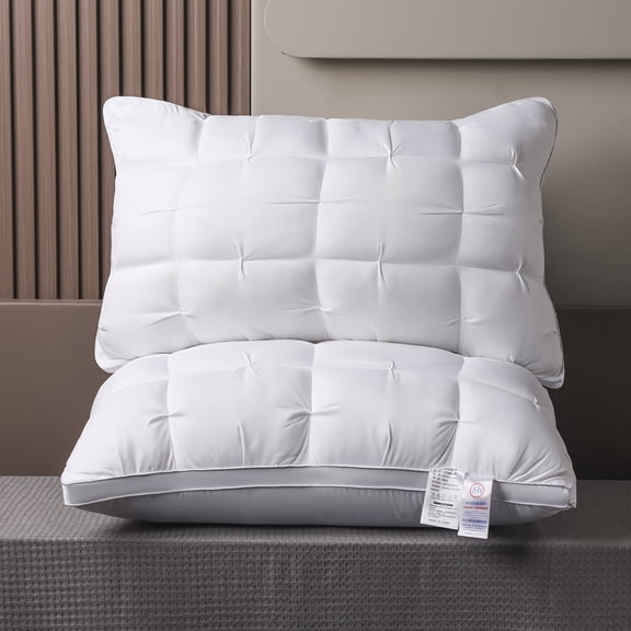 Soft Luxury 5-Star Hotel Quality Pillow, Deep Sleep Neck Support, 20x30 Inches, Polyester, 2 Pack