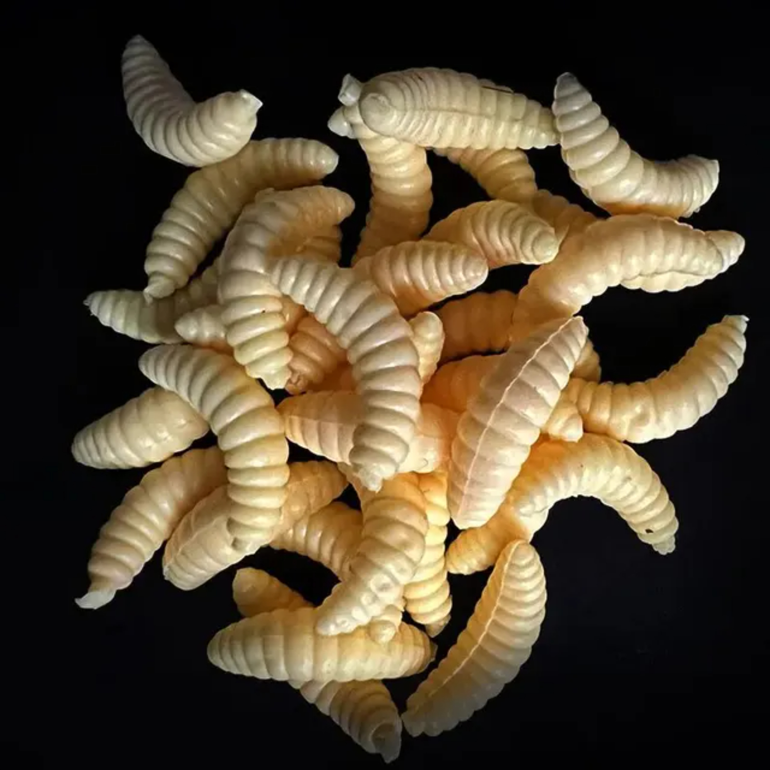 Soft Luya Simulated Fake Mealworm Fresh Sea Fishing Bait for Bass Carp