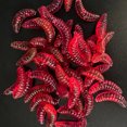Soft Luya Simulated Fake Mealworm Fresh Sea Fishing Bait for Bass Carp
