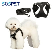 Soft Mesh Dog Harness Set, No-Chock Step-in Reflective Breathable Lightweight Easy Walk Vest Harnesses with Safety Buckle for Small Dogs