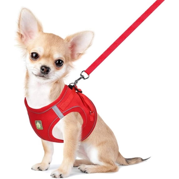 Soft Mesh Dog Harness and Leash Set,No Escape Puppy Harnesses for Training Walking, Reflective Adjustable Puppy Vest for Small Medium Dogs, Cats