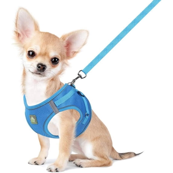 Soft Mesh Dog Harness and Leash Set,No Escape Puppy Harnesses for Training Walking, Reflective Adjustable Puppy Vest for Small Medium Dogs, Cats