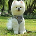 thumbnail image 1 of Soft Mesh Small Dog Harness with Leash -SIZE MEDIUM- Basic Plaid Padded Chest Vest for Small Pets, 1 of 3