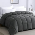 Soft Oversize King Plus Comforter 120"x128"Extra Large Lightweight