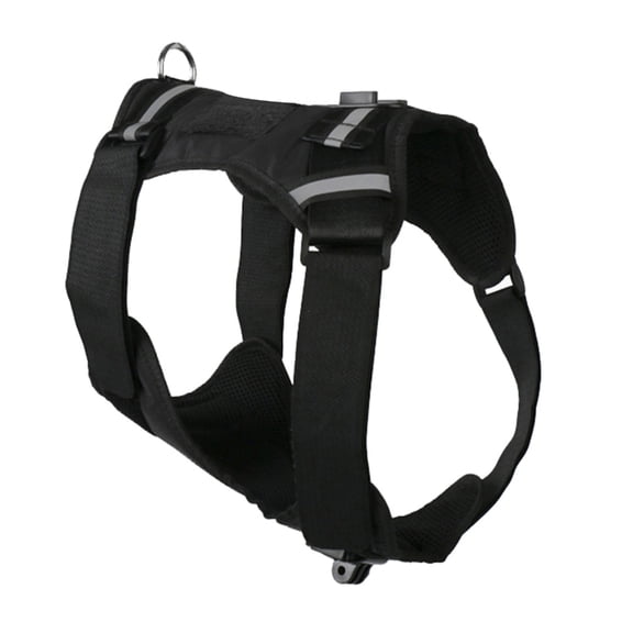 Soft Padded Pet Harness Compatible for Sports Cameras from Your Dog's Perspective with Accessories