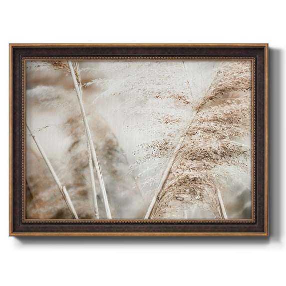 Soft Pampas Breeze Premium Framed Canvas- Ready to Hang