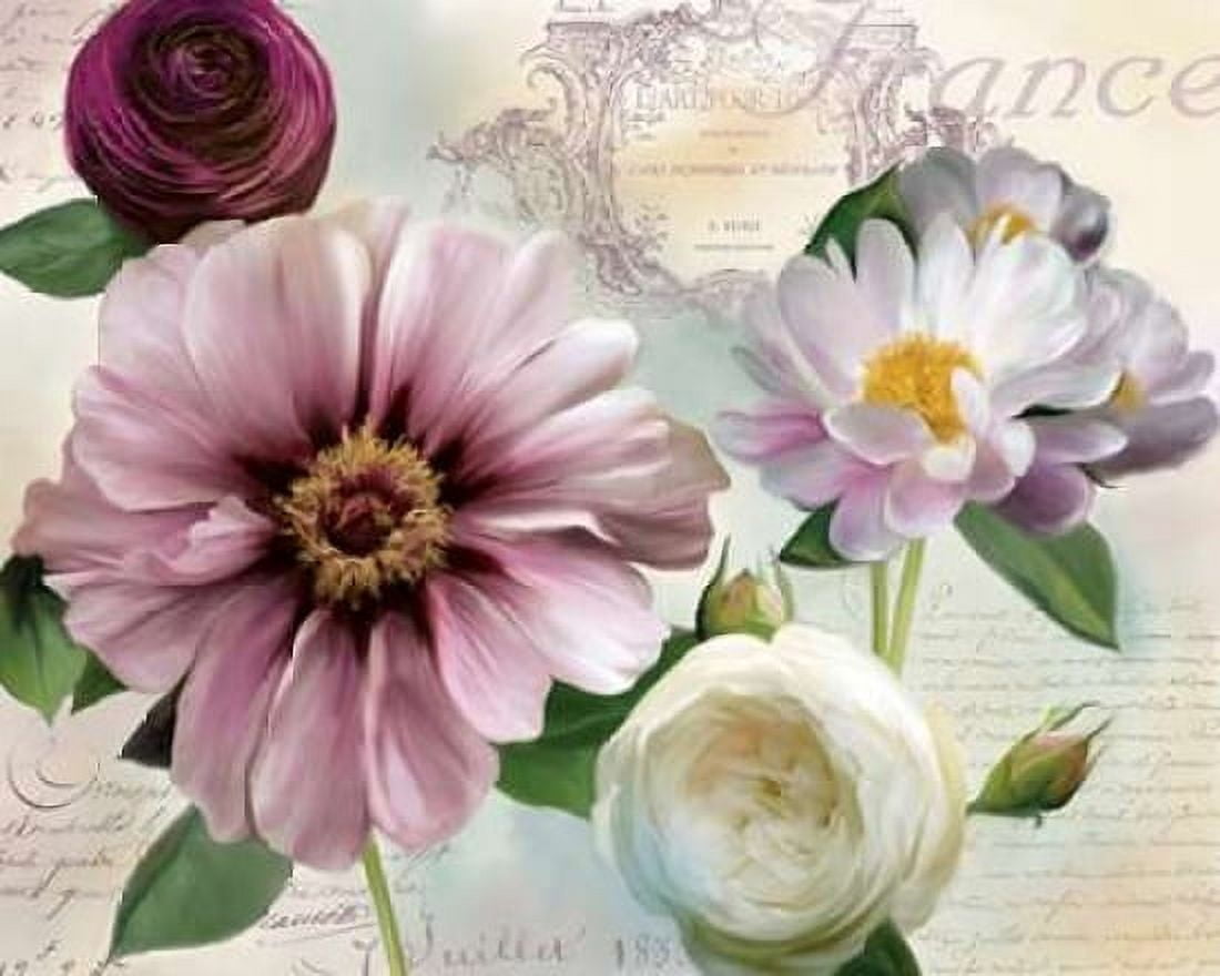 Soft Petals II Canvas Art - Carol Robinson (24 x 30)