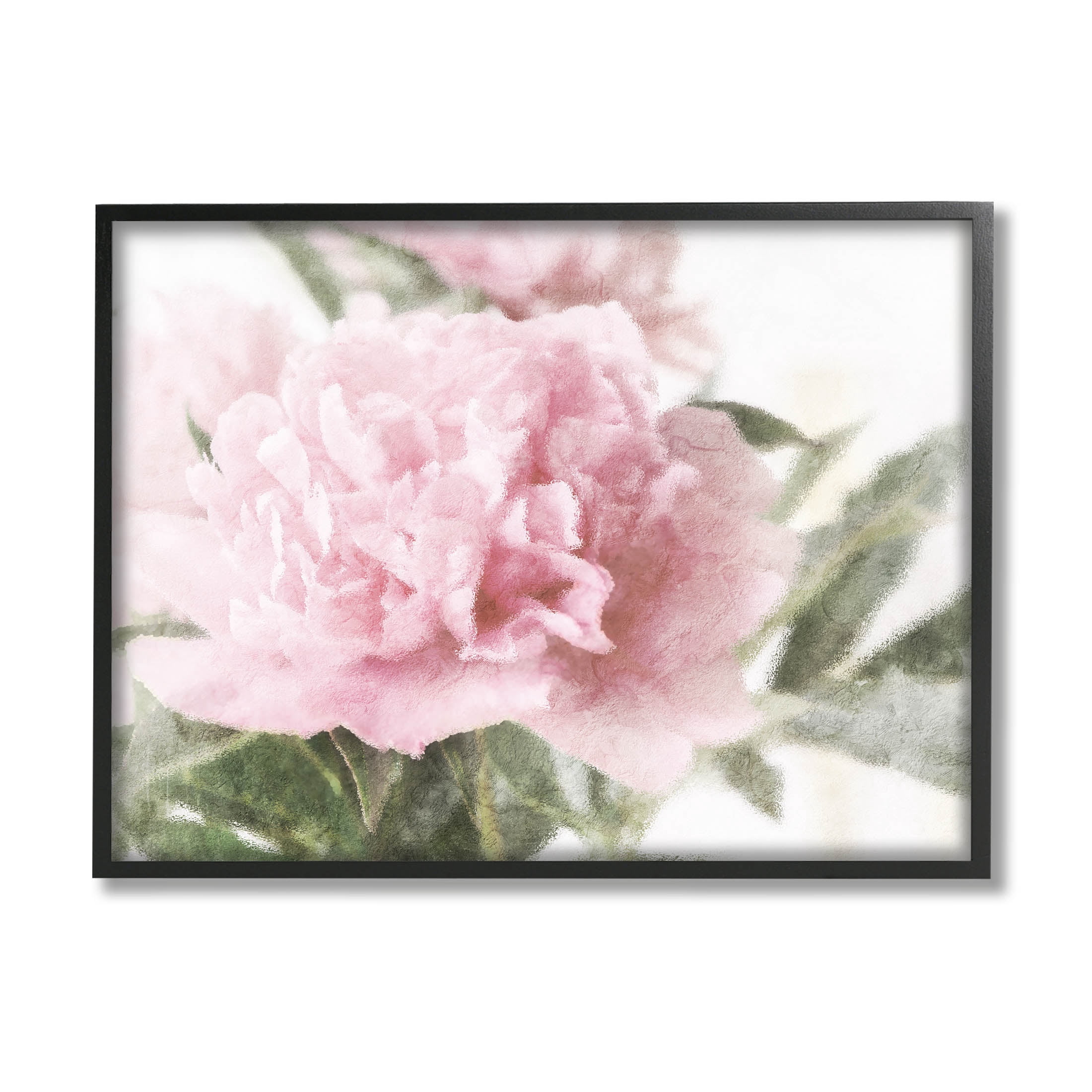 Soft Pink Carnation Blossom Botanical & Floral Graphic Art Black Framed Art Print Wall Art
