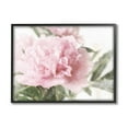 thumbnail image 1 of Soft Pink Carnation Blossom Botanical & Floral Graphic Art Black Framed Art Print Wall Art, 1 of 7