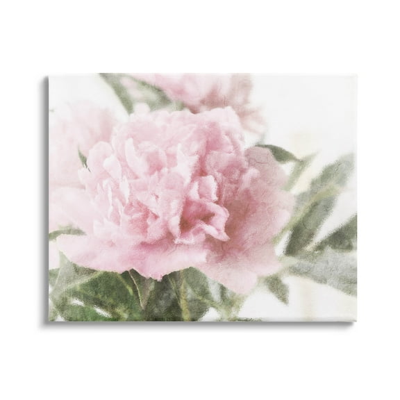 Soft Pink Carnation Blossom Botanical & Floral Graphic Art Gallery Wrapped Canvas Print Wall Art