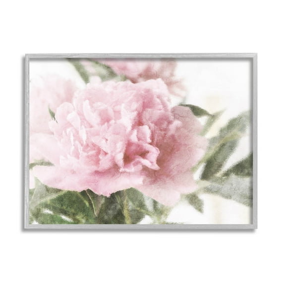 Soft Pink Carnation Blossom Botanical & Floral Graphic Art Gray Framed Art Print Wall Art