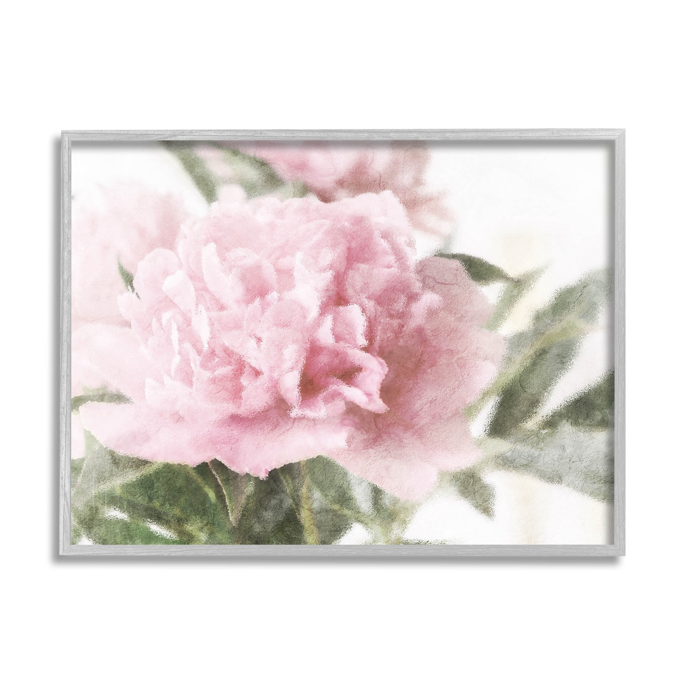 Soft Pink Carnation Blossom Botanical & Floral Graphic Art Gray Framed Art Print Wall Art