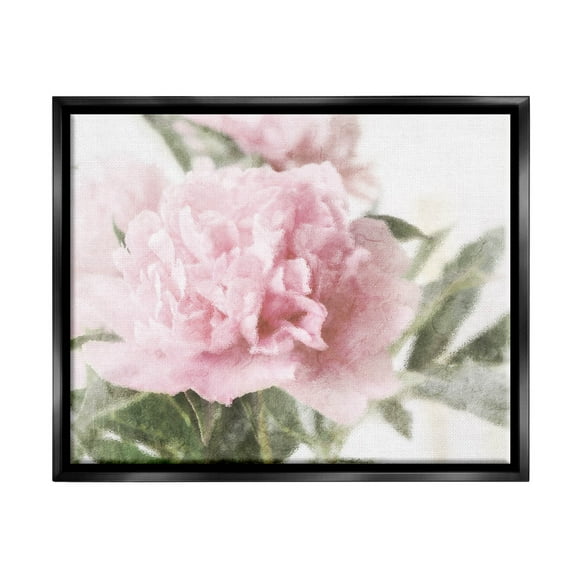 Soft Pink Carnation Blossom Botanical & Floral Graphic Art Jet Black Framed Art Print Wall Art