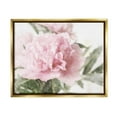 thumbnail image 1 of Soft Pink Carnation Blossom Botanical & Floral Graphic Art Metallic Gold Framed Art Print Wall Art, 1 of 6