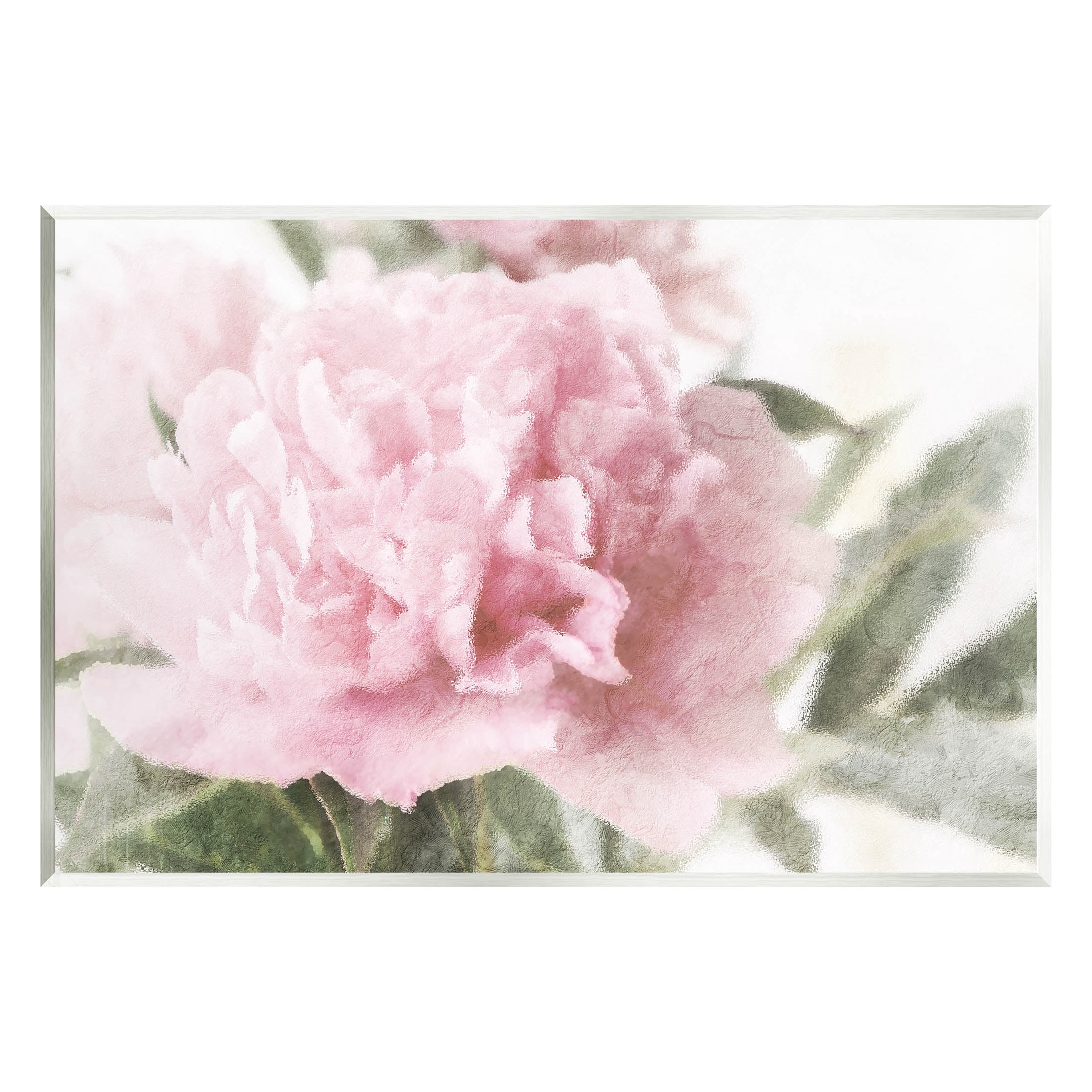 Soft Pink Carnation Blossom Botanical & Floral Graphic Art Unframed Art Print Wall Art