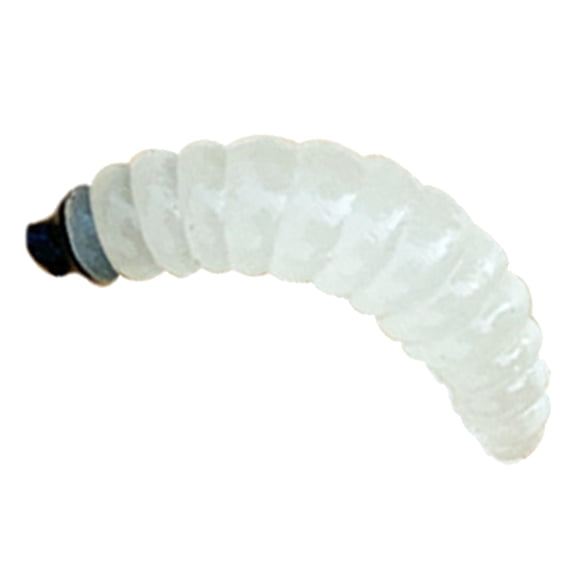 Soft Plastic Maggots Worms Earthworms Baits Soft Artificial Bread Worms Fishing Lure Artificial Baits Jigging