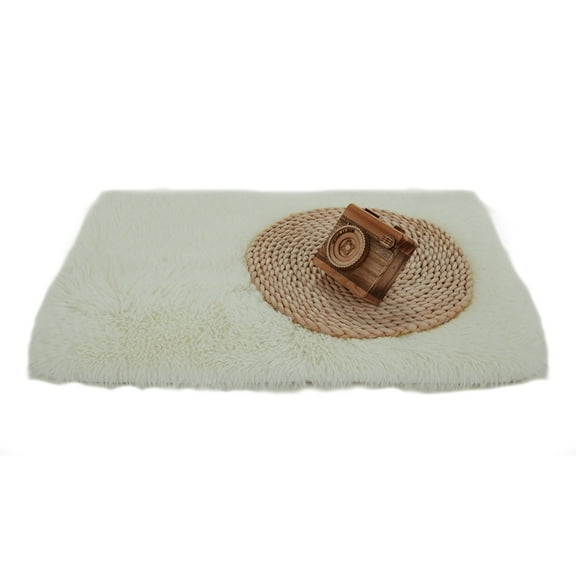 Soft Plush Area Rug, 15.75 x 23.62 inches Carpet for Living Room, Bedroom, Home Decor, Fluffy Nursery Rug, White