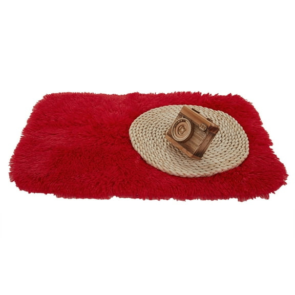 Soft Plush Area Rug, 62.99 x 90.55 inches Carpet for Living Room, Bedroom, Home Decor, Fluffy Nursery Rug, Light Red