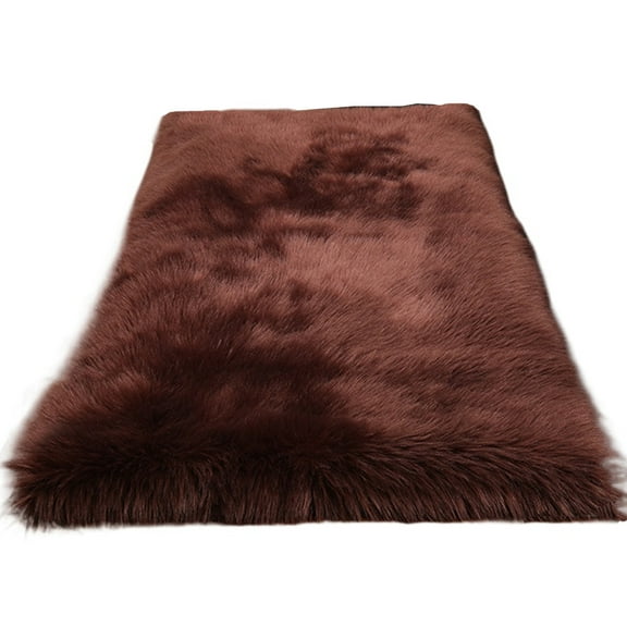 Soft Plush Brown Fur Area Rug 2 x 4ft Shaggy Fluffy Rugs Floor Mat for Bedroom Living Room Nursery Modern Decor Carpet Rectangular