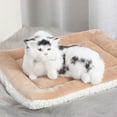 thumbnail image 1 of Soft Plush Pet Bed Mat for Dogs & Cats | Reversible Fluffy Paw Print Pet Pad | Washable Cozy Sleeping Blanket for Small Medium Pets | Non-Slip Comfortable Pet Cushion for Crate,Kennel & Sofa, 1 of 5