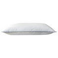 thumbnail image 1 of Soft Plush Pillow Core 19.7 x 11.8 Inches, Breathable Skin-Friendly Fabric Lightweight Bed Pillow with Delicate Lace Edge, Compact Comfort Pillow for Home and Hotel Use, 1 of 9