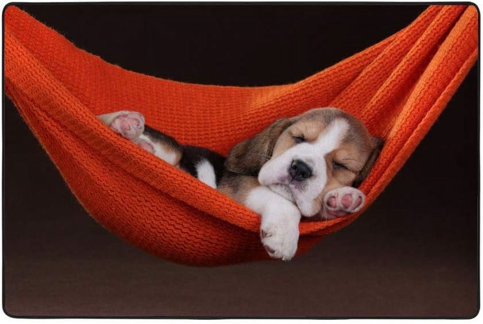 Sleeping Dog Rug Soft Rug Comfortable Indoor Carpet, Sleeping Dog Large Area Rugs, Kids ...