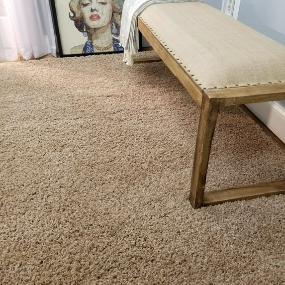 Soft Shag Area Rug 3x5 Plain Solid Color BEIGE - Contemporary Area Rugs for Living Room Bedroom Kitchen Decorative Modern Shaggy Rugs