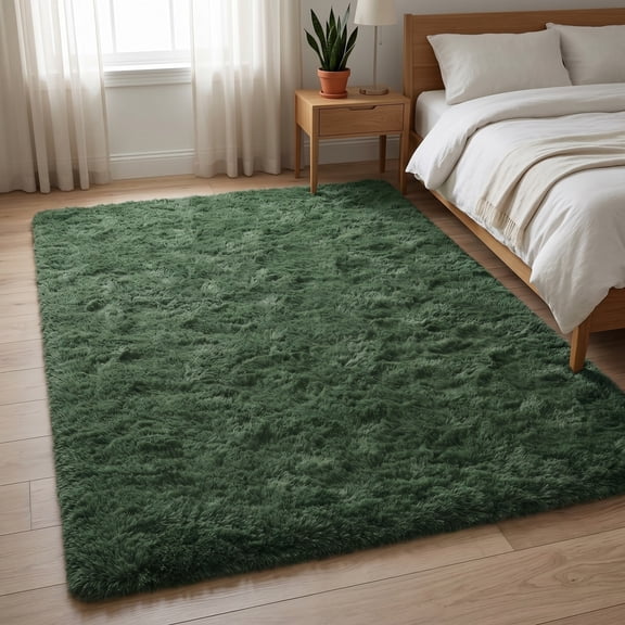 Soft Shag Area Rug, Washable Non-Slip Living Room Carpet,3x5 FT