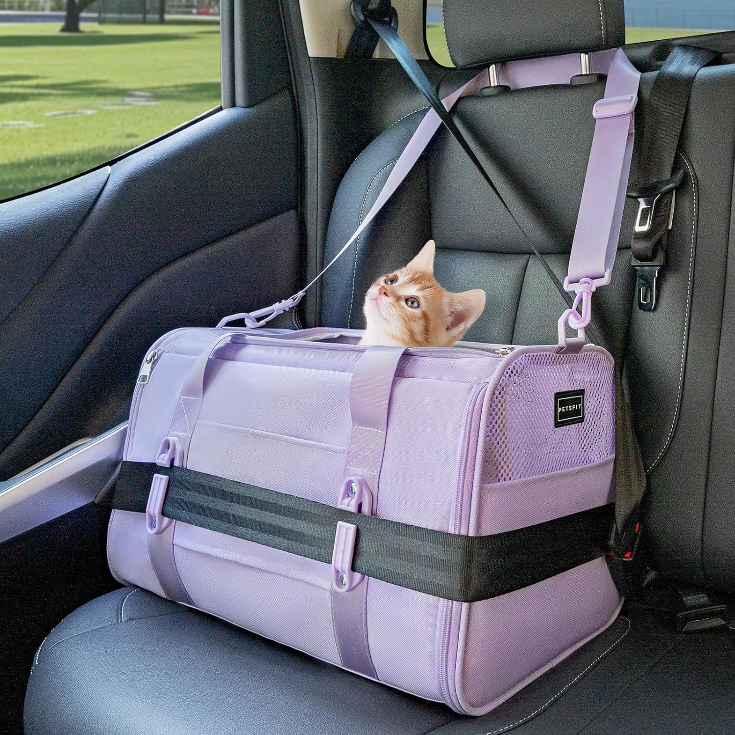 Soft-Sided Cat Carrier with Patented Safety Buckles, Lockable Zippers ...