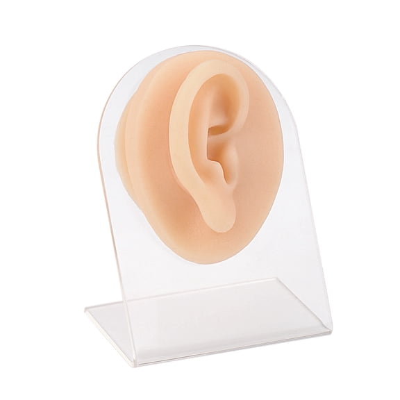 Soft Silicone Ear Model (Right) with Acrylic Stand, Flexible Ear Mold for Piercing Practice, Rubber Ear for Jewelry Display