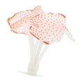 thumbnail image 1 of Soft Silicone Glowing Aquarium Simulation Coral with Sucker Aquatic Artificial Coral Orange, 1 of 7