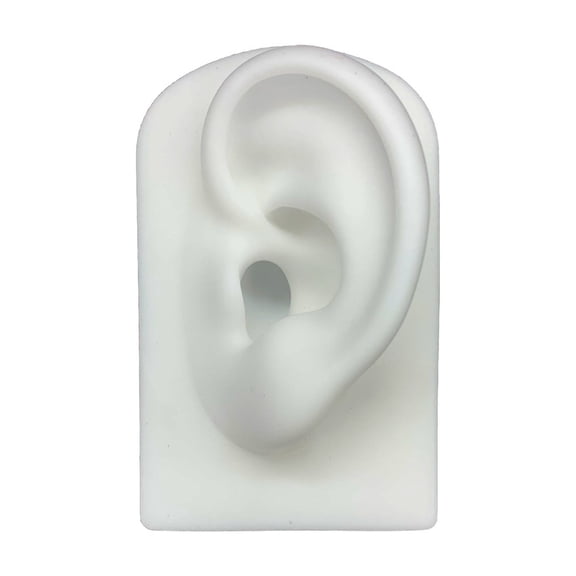 Soft Silicone Simulation 1:1 Human Ear Model Ear Earphone Model Taking Teaching Display Props